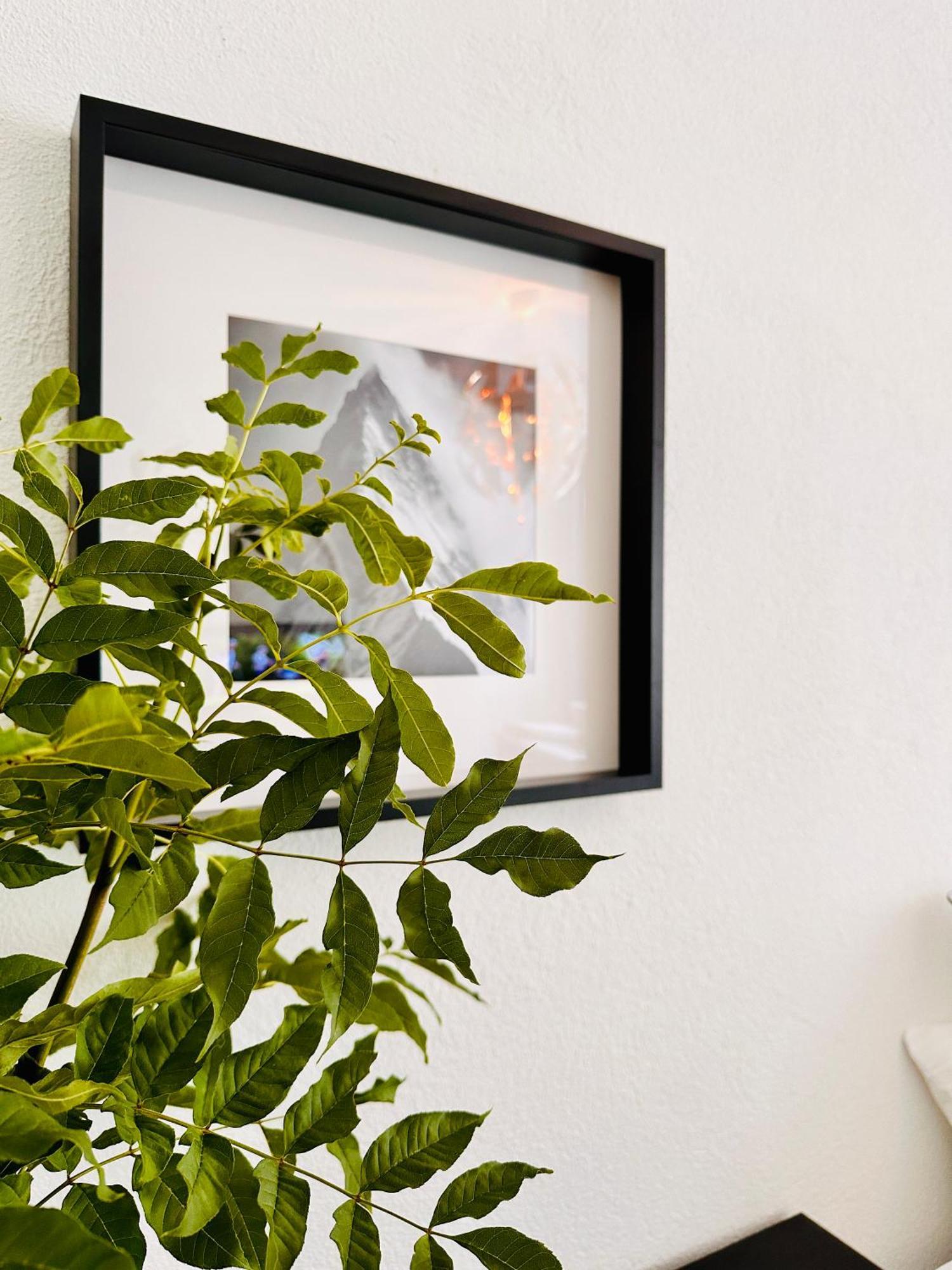 Schoene Ferienwohnung Schottwien Exteriör bild